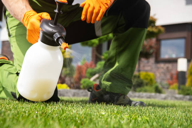 Trusted Collegeville, PA Pest Control Experts